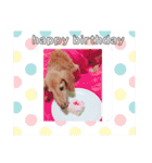 ダックスフンド ヒロ╰(*´︶`*)╯♡（個別スタンプ：7）