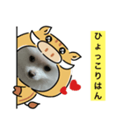 くぅちゃんとオマケ1（個別スタンプ：2）