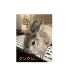 くぅちゃんとオマケ1（個別スタンプ：8）