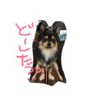 ハル★（個別スタンプ：2）