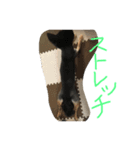 ハル★（個別スタンプ：4）