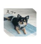 ハル★（個別スタンプ：7）
