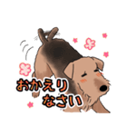 エアデールテリアの一日（個別スタンプ：12）