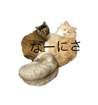 こころのココロ(色なし)（個別スタンプ：1）