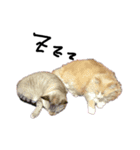 こころのココロ(色なし)（個別スタンプ：22）