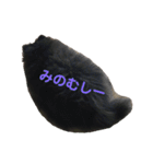 黒ぽめだけどスタンプになりたい（個別スタンプ：12）