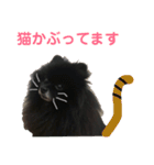 黒ぽめだけどスタンプになりたい（個別スタンプ：24）