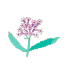 下手ふわーず 花（個別スタンプ：13）