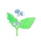 下手ふわーず 花（個別スタンプ：17）
