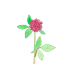 下手ふわーず 花（個別スタンプ：20）