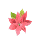 下手ふわーず 花（個別スタンプ：26）