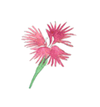 下手ふわーず 花（個別スタンプ：29）