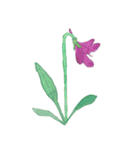 下手ふわーず 花（個別スタンプ：31）