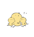 もちひよ 〜日常編〜（個別スタンプ：1）