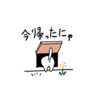 にゃーん 基本言葉（個別スタンプ：40）