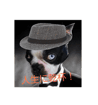 こめきち家の犬たち(その1)（個別スタンプ：1）