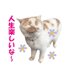 ホイホイスタンプ（個別スタンプ：32）