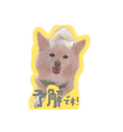 popとminkの日常スタンプ（個別スタンプ：4）