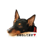 といまんず①（個別スタンプ：5）