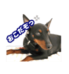 といまんず①（個別スタンプ：21）