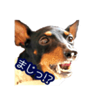 といまんず①（個別スタンプ：25）