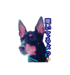 といまんず①（個別スタンプ：31）