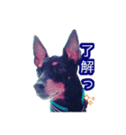 といまんず①（個別スタンプ：32）
