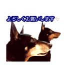 といまんず①（個別スタンプ：40）