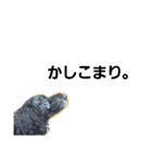 うちのてんちむ（個別スタンプ：8）