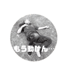 Realizeの仲間たち（個別スタンプ：16）