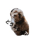 きよみsp（個別スタンプ：13）