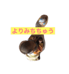 そうちゃんスタンプ2018…（個別スタンプ：5）