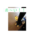 そうちゃんスタンプ2018…（個別スタンプ：27）