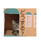ドンノブボム⑤（個別スタンプ：8）