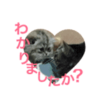 ドンノブボム⑤（個別スタンプ：11）