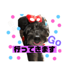 黒犬わんこ2❤（個別スタンプ：2）