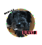 黒犬わんこ2❤（個別スタンプ：3）