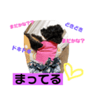 黒犬わんこ2❤（個別スタンプ：4）