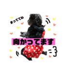 黒犬わんこ2❤（個別スタンプ：5）