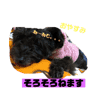黒犬わんこ2❤（個別スタンプ：9）