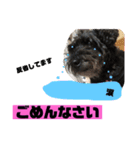 黒犬わんこ2❤（個別スタンプ：14）