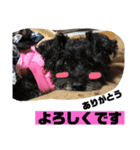 黒犬わんこ2❤（個別スタンプ：23）