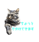 いなかねこ てぃーさんの いちにち①（個別スタンプ：6）