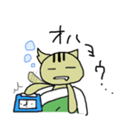 ぐだねこのたまに働く日々（個別スタンプ：1）