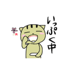 ぐだねこのたまに働く日々（個別スタンプ：24）