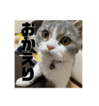 セルカのうめち（個別スタンプ：2）