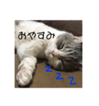 セルカのうめち（個別スタンプ：6）