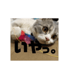 セルカのうめち（個別スタンプ：9）