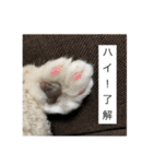 セルカのうめち（個別スタンプ：11）