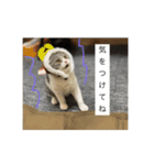 セルカのうめち（個別スタンプ：13）